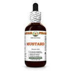 Hawaii Pharm Mustard (Sinapis alba) Seed Alcohol-Free Extract
