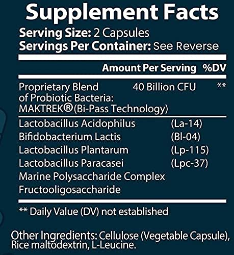 Bulk Buy Probiotic Blend - Multiple Strains of Key Bacteria Include