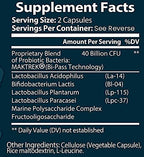 Bulk Buy Probiotic Blend - Multiple Strains of Key Bacteria Include