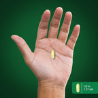 Piping Rock Pumpkin Seed Oil Softgel Capsules - 200 Count - image 7
