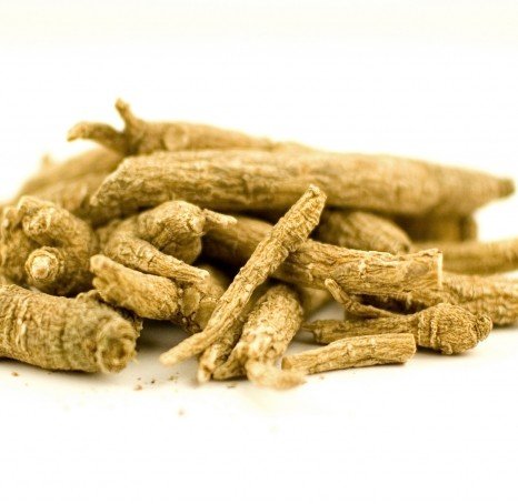 Plum Dragon American Ginseng Xi Yang Shen Root - 1 Oz