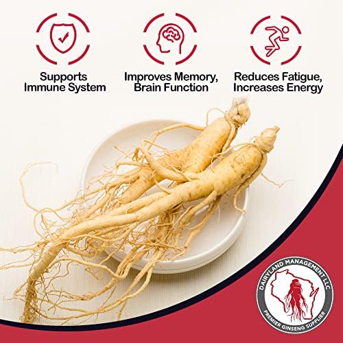 Dairyland American Ginseng Pearl Root - 4 oz - image 5
