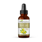 Herbal Goodness Olive Leaf Extract Liquid Organic - 1 Fl Oz