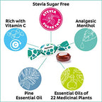 Alpinola Menthol Lozenges with Herbs and Vitamin C - 17 Count - image 4