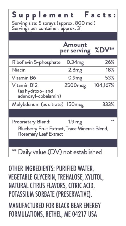 Holistic Health Black Bear Energy Spray B12 - 0.85 FL oz - image 3