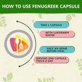 Generic Fenugreek Capsules (Methi) 450mg - 60 Vegetarian Capsules - image 2