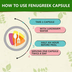 Generic Fenugreek Capsules (Methi) 450mg - 60 Vegetarian Capsules - image 2