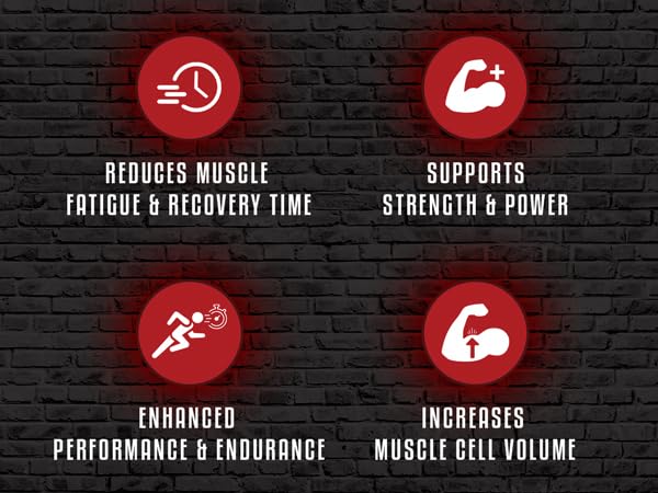 5% Nutrition Code Red Flavored Micronized Creatine Powder