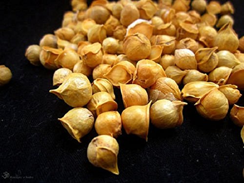 AAYURVEDA Allium Sativum Ayurveda Garlic Powder - 250g