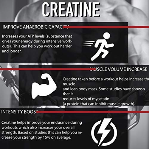 ALFA VITAMINS Maximum Creatine Monohydrate 1200 mg - 100 Capsules - image 4