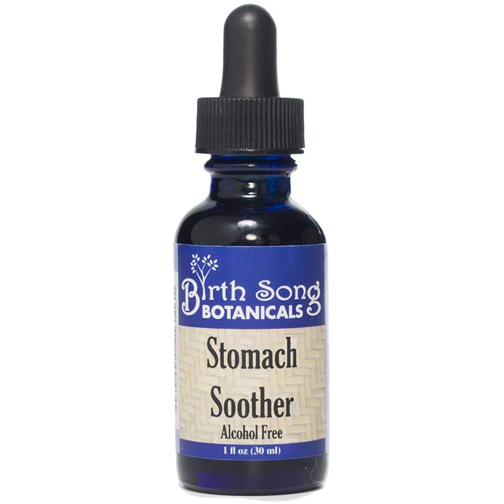 Birth Song Botanicals Stomach Soother Tincture - 1 oz