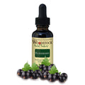 Woodstock Herbal Products Elderberry - 1 Ounce