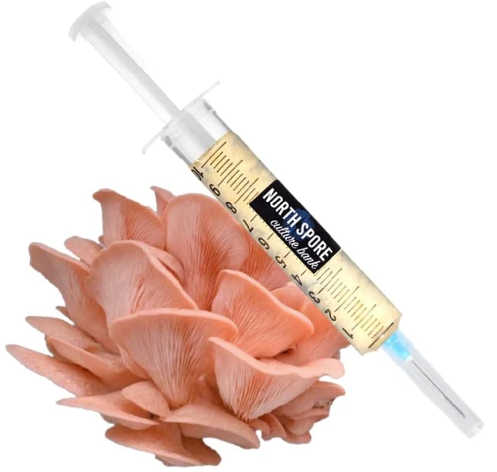 North Spore Organic Pink Oyster Liquid Culture Syringe - 10ml