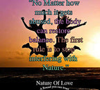 Nature Of Love Sea Moss Irish Capsules - 100 Capsules - image 6