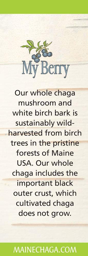 My Berry Chaga Mushroom & Birch Bark Extract Liquid - 2 Fl Oz - image 5