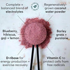 Farmana Hydrate + Replenish Blueberry Hibiscus Electrolyte Drink Mix - 5.3 oz - image 8
