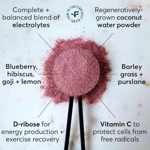 Farmana Hydrate + Replenish Blueberry Hibiscus Electrolyte Drink Mix - 5.3 oz - image 8
