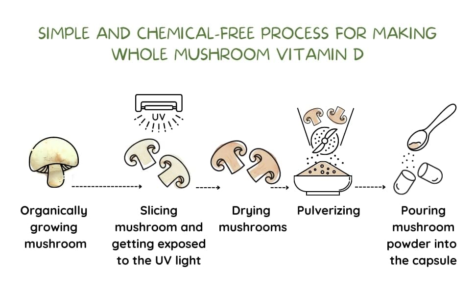 EAT Intact Whole Mushroom Vitamin D2 2000 IU - 60 Capsules - image 9