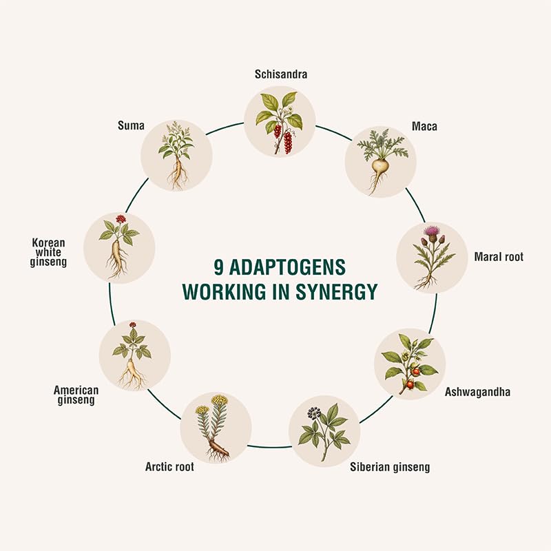 ADAPTOHEAL Energyheal Daily Energy Ashwagandha Rhodiola - 180 Capsules - image 3