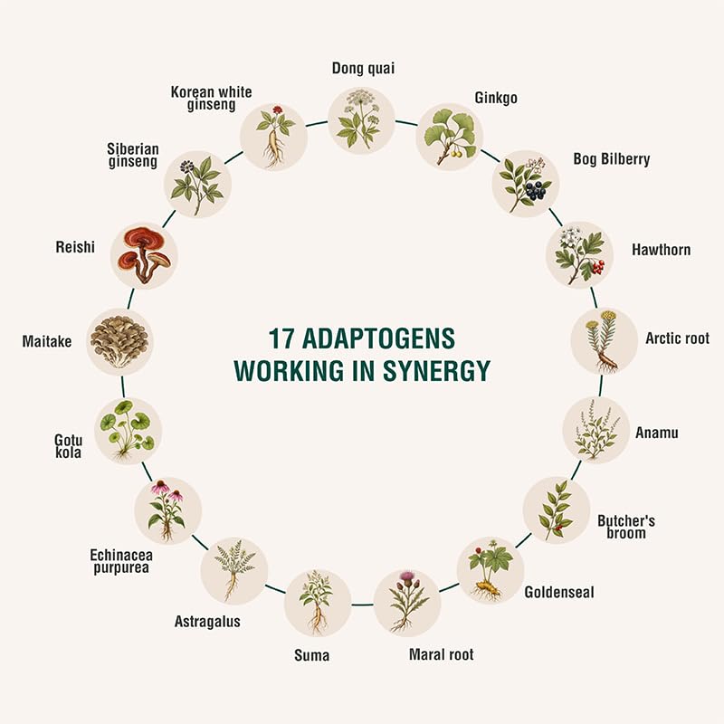 ADAPTOHEAL Circuheal Circulatory Support Ginkgo Astragalus - 180 Capsules - image 3