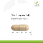 Terry Naturally Olive Extract EP20 Brain & Healthy Aging - 60 Capsules - image 4