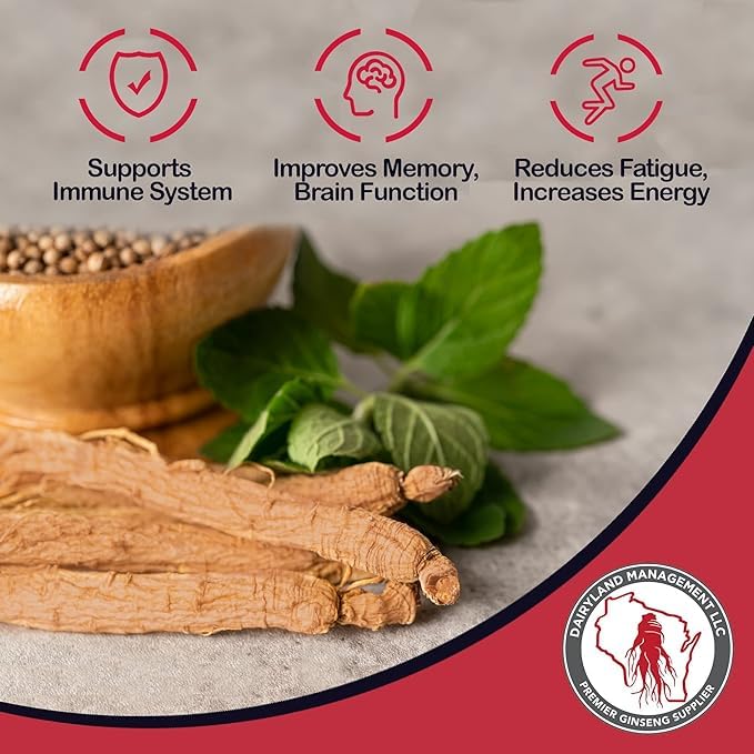 Dairyland Management LLC Panax Ginseng Capsules