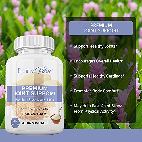 Divine Vibes Glucosamine Chondroitin Turmeric MSM Boswellia - 60 Tablets - image 2