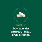 Standard Process Lact-ENZ Digestive Enzyme & Probiotic - 90 Capsules - image 5