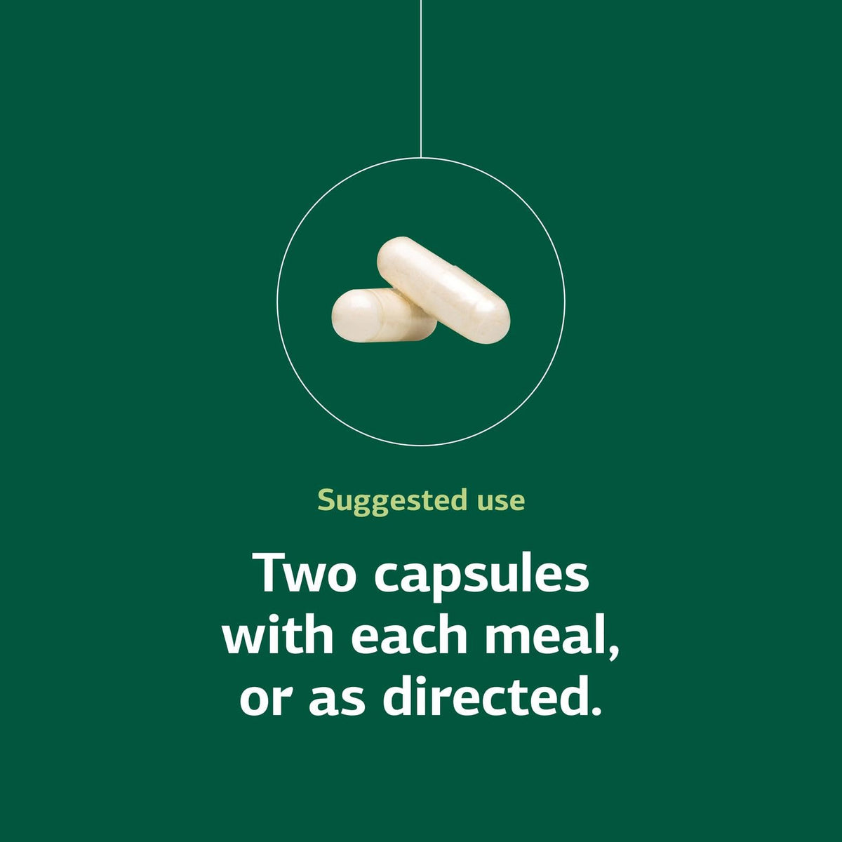 Standard Process Lact-ENZ Digestive Enzyme & Probiotic - 90 Capsules - image 5