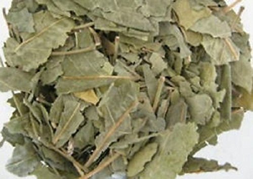 AAYURVEDA Bilwa Aegle Marmelos Bael Patra Herbal Leaves - 250g