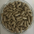 Bright Sunlight Eucommia Ulmoides Extract 500mg - 200 Capsules - image 2