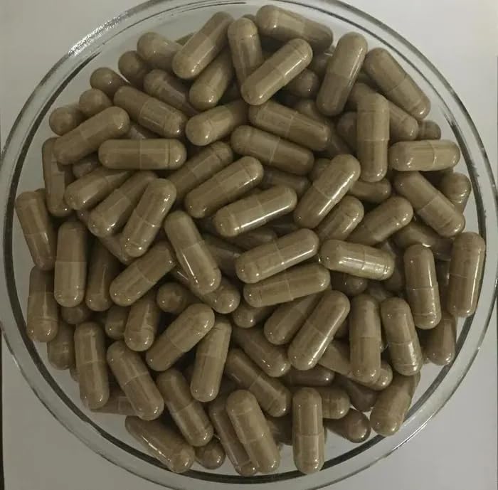 Bright Sunlight Eucommia Ulmoides Extract 500mg - 200 Capsules - image 2