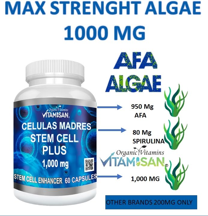VITAMISAN Celulas Madres Blue Green Algae AFA - 60 Capsules - image 2