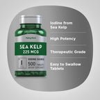 Piping Rock Sea Kelp Iodine Supplement 225 mcg - 500 Tablets - image 4