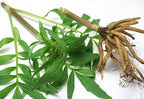 Nature Tea Valerian Root Dried Loose Cut - 2 oz - image 3