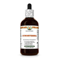 Hawaii Pharm Gynostemma (Gynostemma pentaphyllum) Leaf Alcohol-Free