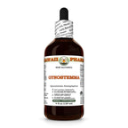 Hawaii Pharm Gynostemma (Gynostemma pentaphyllum) Leaf Alcohol-Free