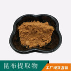 Bright Sunlight Ecklonia Cava Extract 20:1 Powder - 250g - image 2