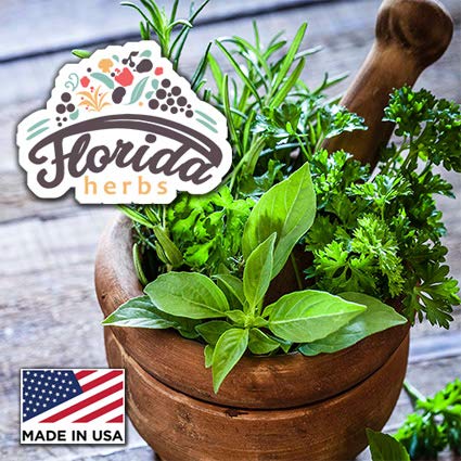 FLORIDA HERBS American Ginseng Tincture Extract - 2 oz - image 4