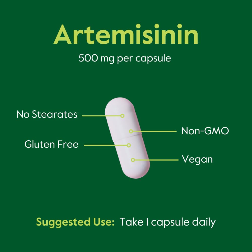 BESTVITE Artemisinin 500mg Immune Support - 60 Vegetarian Capsules - image 5