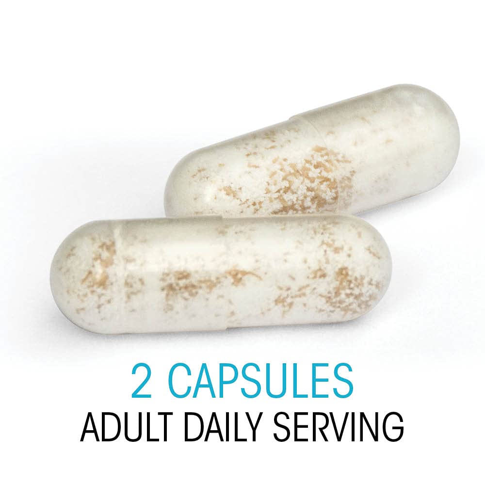 Silver Fern Ultimate Probiotic Supplement Vegicaps - Daily Metabolic