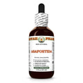 Hawaii Pharm Asafoetida (Ferula assa-foetida) Herb Alcohol-Free