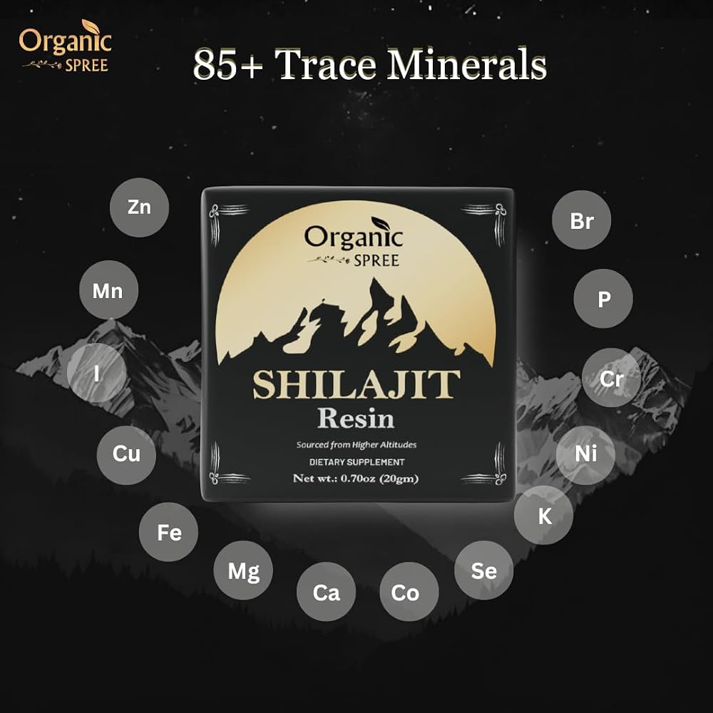 ORGANIC SPREE Himalayan Shilajit Resin 20gm (0.70oz) Himalayan Resin