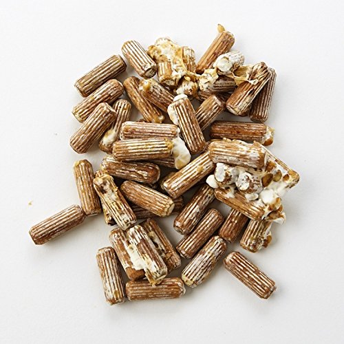 2funguys Lion's Mane Dowel Spawn 100 Count Mushroom Plugs - image 4