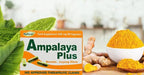 Generic Ampalaya Plus 550mg Herbal Supplement - 90 Capsules - image 3