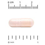 Lake Avenue Nutrition Probiotics 10 Strain 25 Billion CFU - image 4