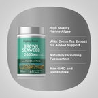 Piping Rock Brown Seaweed Capsules - 60 Count - image 4