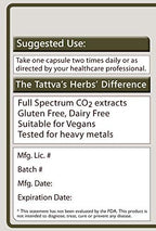Tattva's Herbs Superfruit Amla Supplement Vitamin C - 240 Capsules - image 3