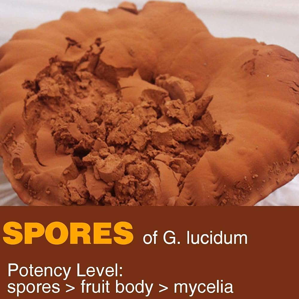 Yuanziyuanfang Red Reishi Mushroom Spore Powder - 200g - image 2