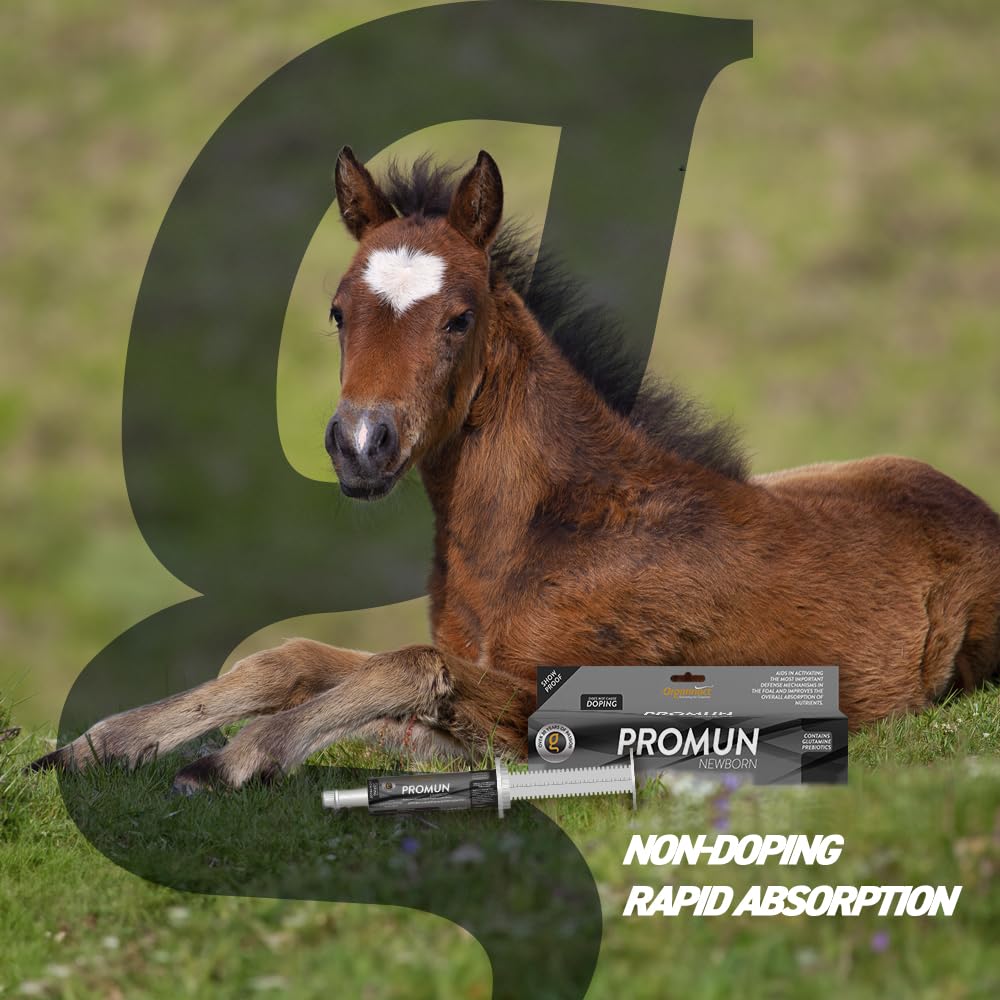 Organnact PROMUN Newborn Foal Immune & Gut Health Supplement - 2.4 fl oz - image 5